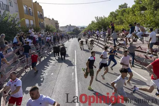 Así se ha vivido el primer encierro de la Feria Taurina del Arroz de Calasparra