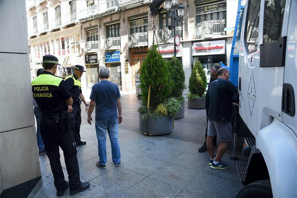 Colocación de maceteros y bolardos en calle Alfonso