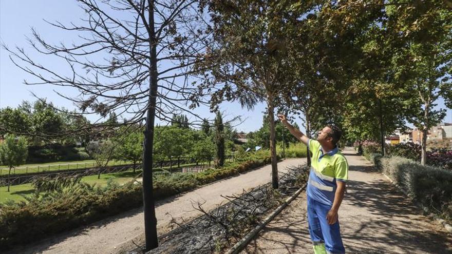 Prenden fuego cinco veces en una semana a los jardines del Calamón