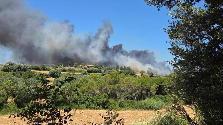 Un nou incendi crema a Vilavenut mentre continua actiu el foc de la Bisbal