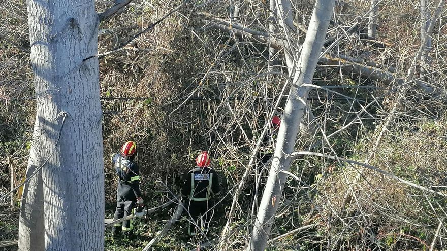 Sin suministro eléctrico vecinos de Santa Marta y Santa Croya de Tera por la caída de varios árboles sobre el tendido