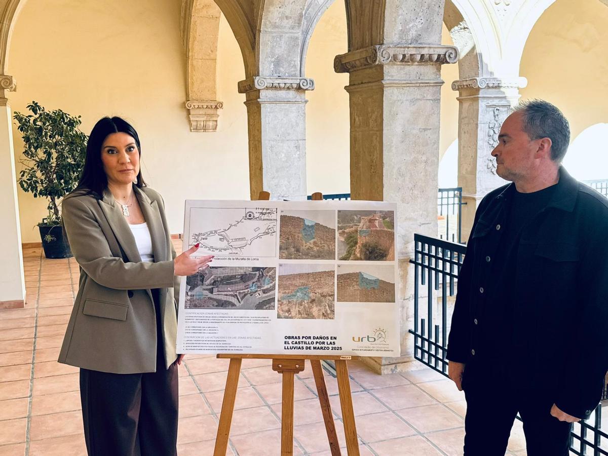 Hernández Benítez explica los pormenores del proyecto.