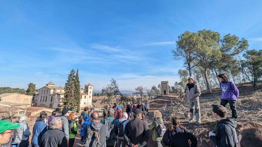 Entitats ecologistes denuncien amb una caminada una tala sota Collbaix