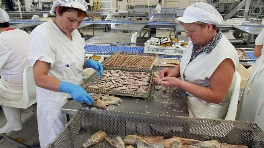 Trabajadoras procesando atún en una conservera gallega.  // J. L. Oubiña