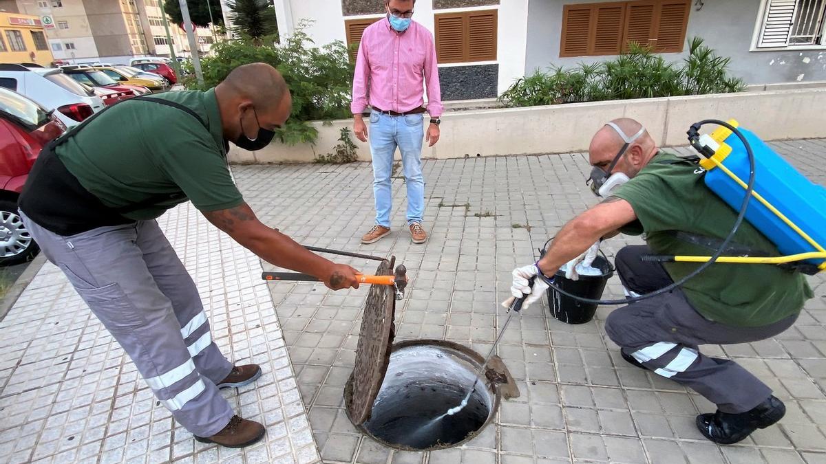 Imagen de alguna de las intervenciones realizadas por Salud Pública en el municipio de Las Palmas de Gran Canaria para el control de plagas.