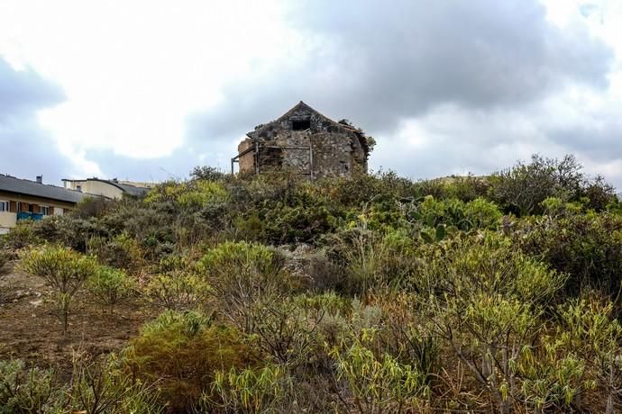 Las Palmas de Gran Canaria. yacimiento Lomo de San Gregorio, Ciudad del campo.  | 28/03/2019 | Fotógrafo: José Carlos Guerra