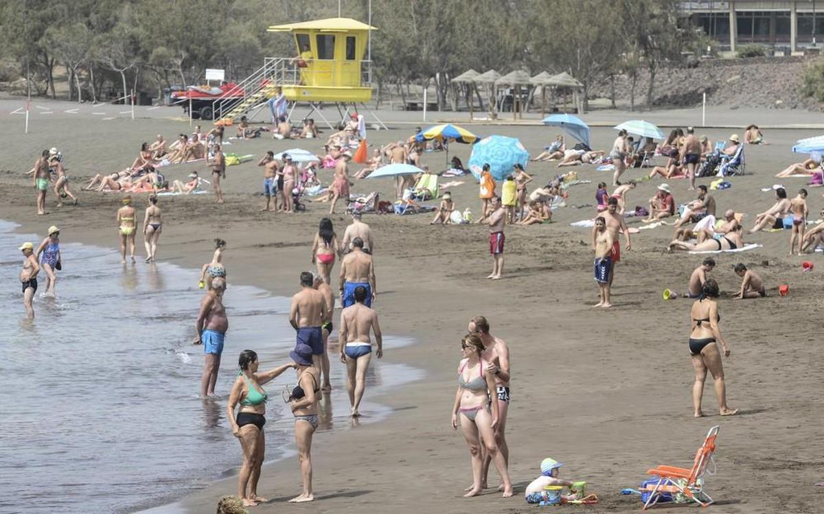 Plaga de moscas en Melenara y Salinetas Plaga de moscas en Melenara y Salinetas