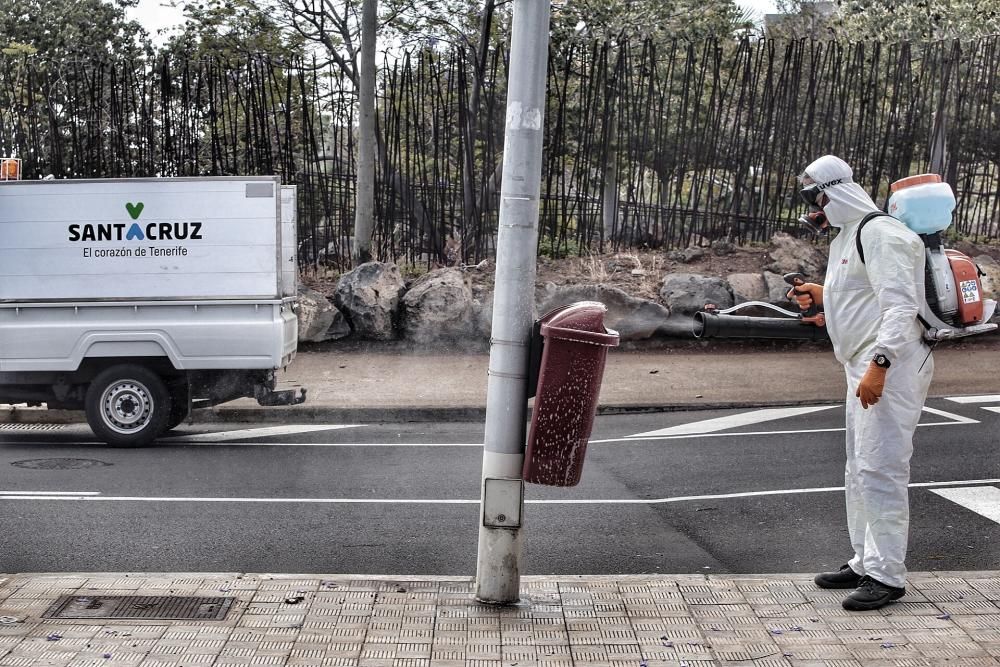 Tareas de limpieza en Santa Cruz de Tenerife