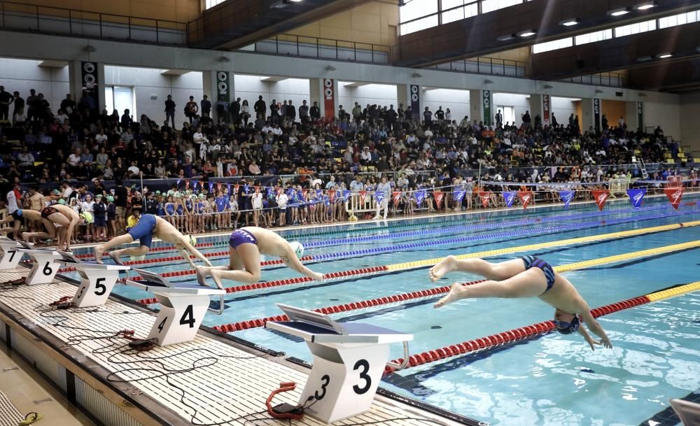 Trofeo Sant Sebastià de natación