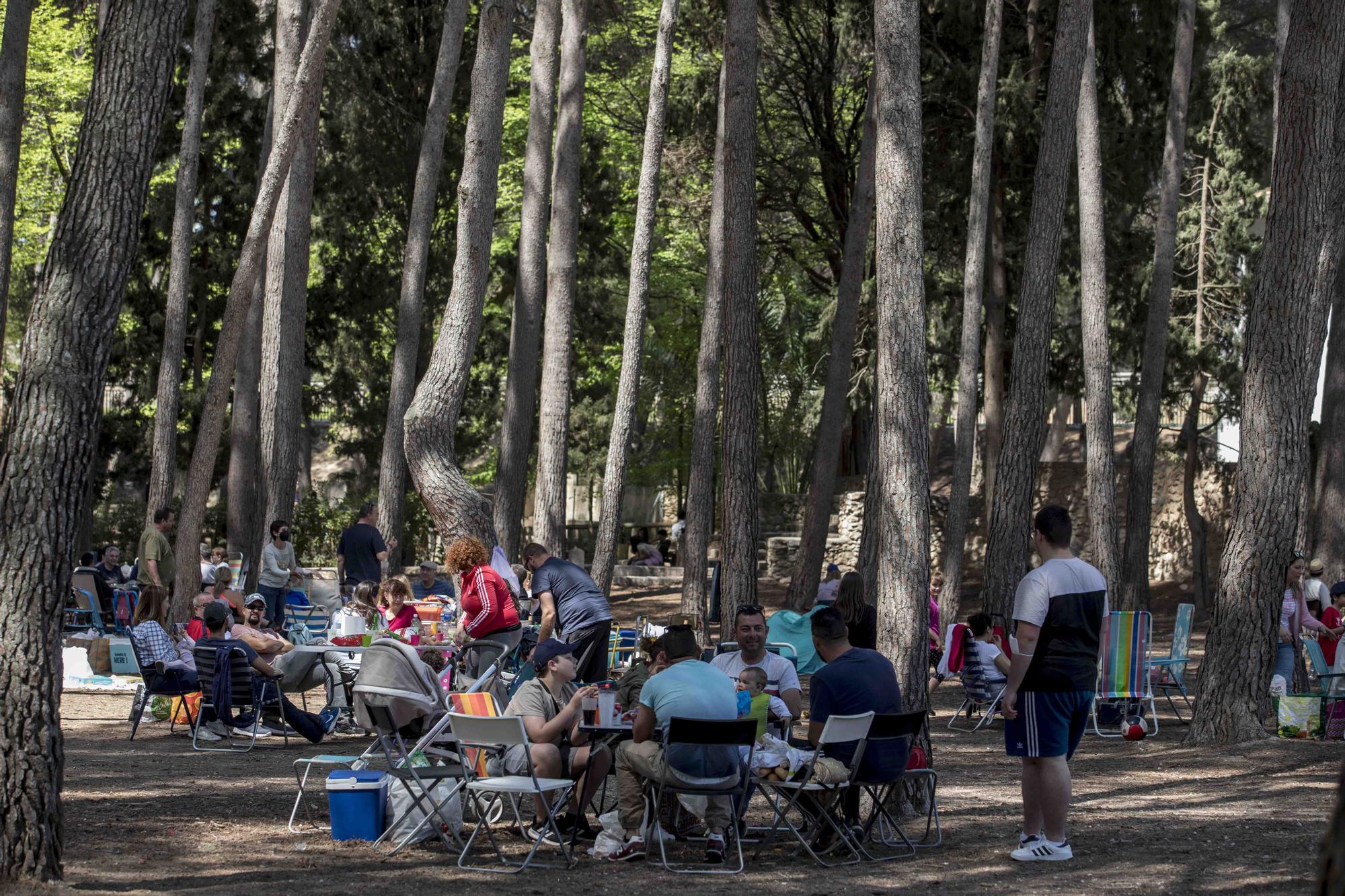 El Parc d San Vicent de Lliria vuelve a llenarse de familias dos años depués