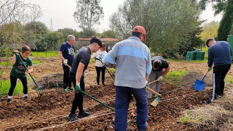 Un huerto para convivir, aprender y relajarse