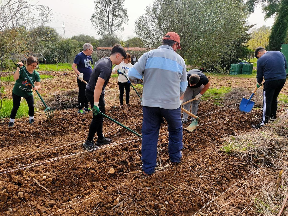 Los huertos universitarios son espacios de aprendizaje, convivencia y concienciación.