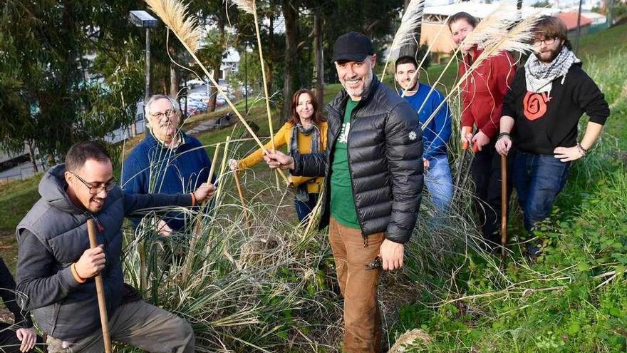 Adiós a las especies invasoras en Monte da Fraga