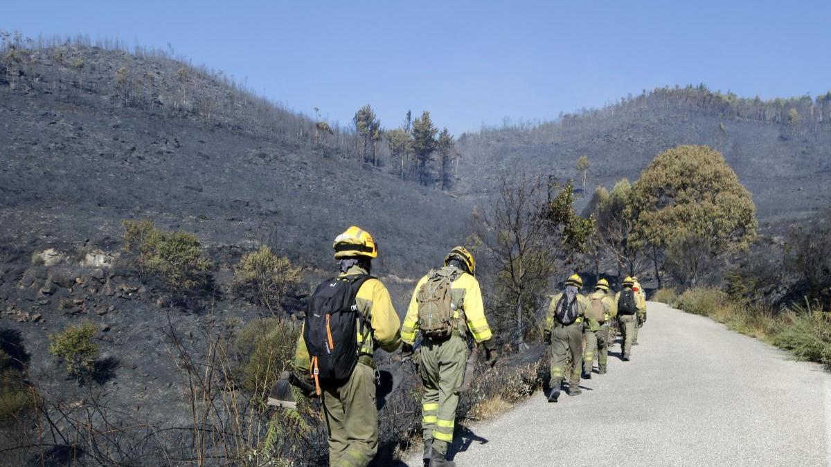 Bomberos forestales del distrito, en un incendio de una campaña anterior // Alba Villar