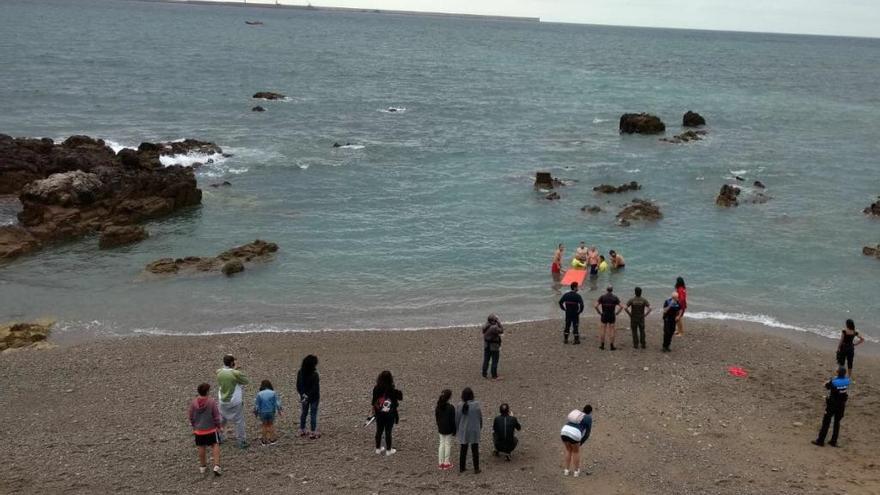 Fallece un delfín en las costas gijonesas