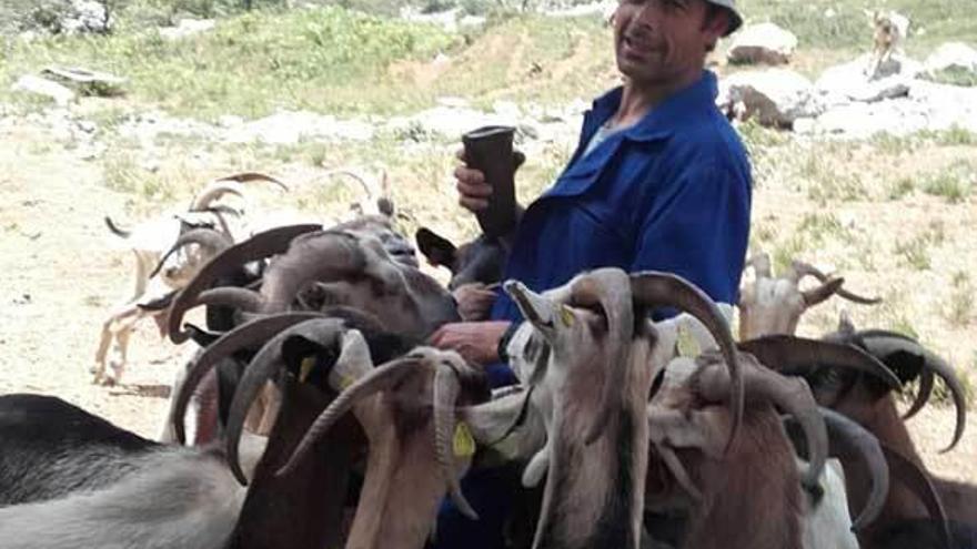 Una imagen de Eduardo Díaz Herrero dando sal a las cabras.