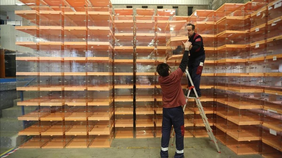Unos operarios recogen urnas del almacén del Ayuntamiento de Barcelona para llevarlos a los colegios electorales antes del 20-D.