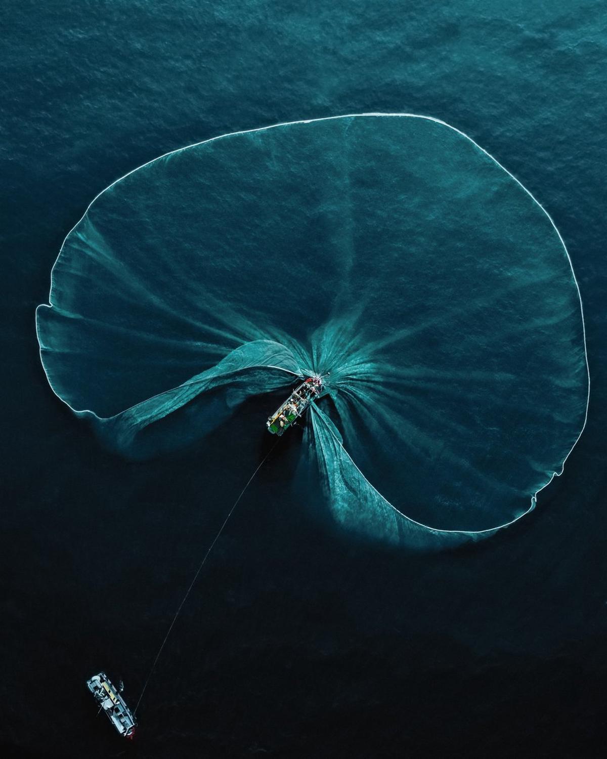 En la categoría de Naturaleza y personas. Oro: Robert Middleton