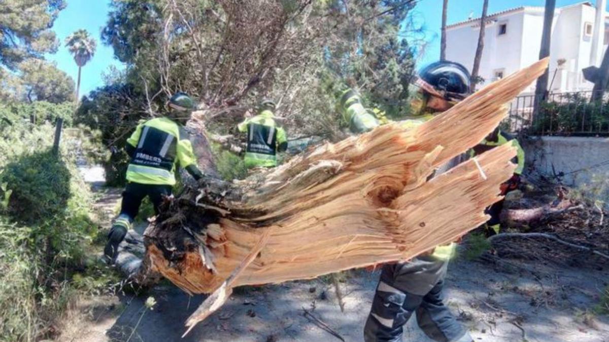 Una gran rama cae sobre un coche con dos ocupantes dentro