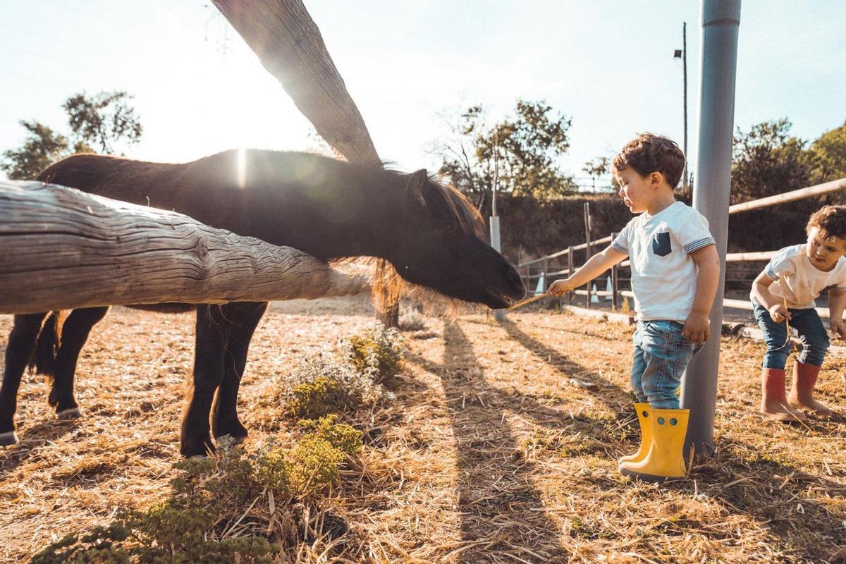 Granjas Agroturismo, España