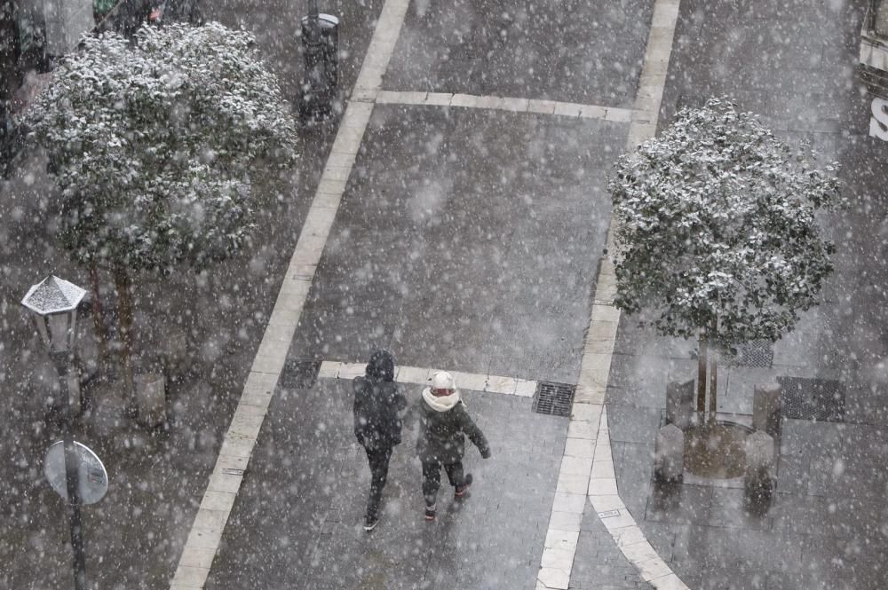 Primera nevada en Zamora capital