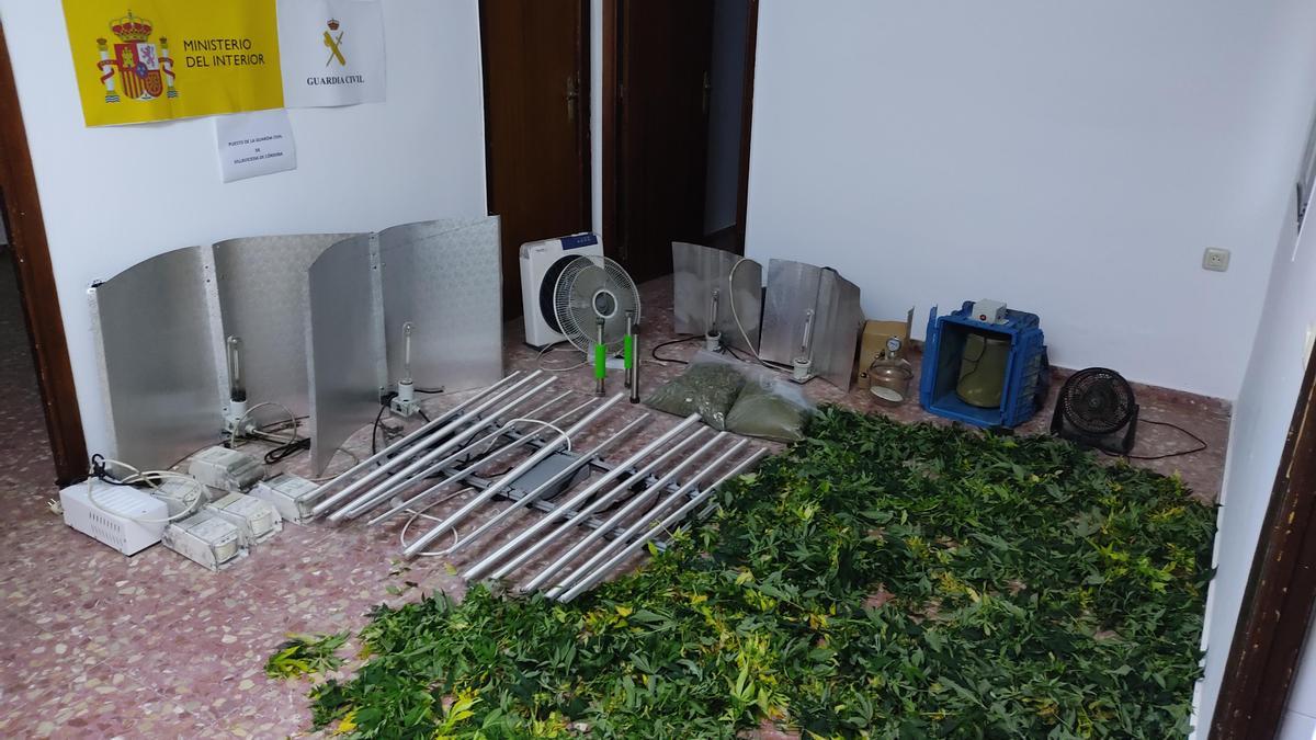 Material intervenido la actuación de la Guardia Civil en Villaviciosa.