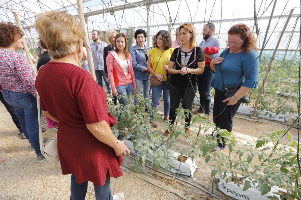 Elche celebra el Día de la Mujer Rural