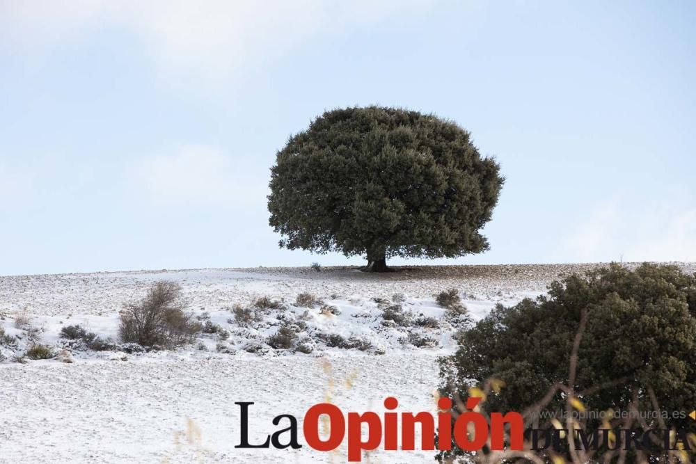 La nieve llega a las pedanías de la comarca del No