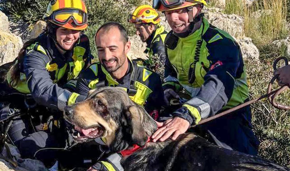 Los bomberos junto al mastín tras sacarlo del cortado del cabo de Sant Antoni