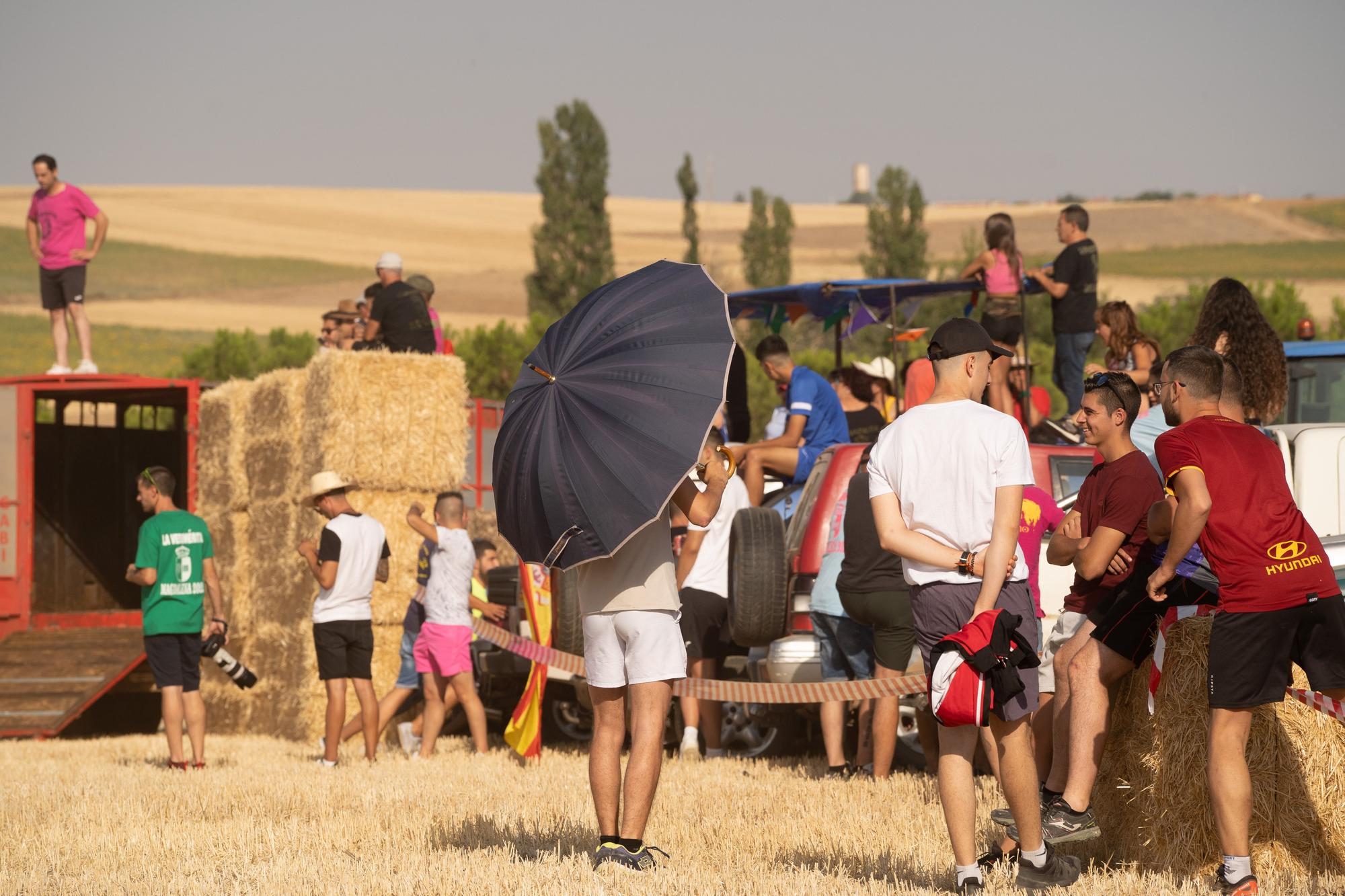 Encierro Campero en Moraleja del Vino 2022