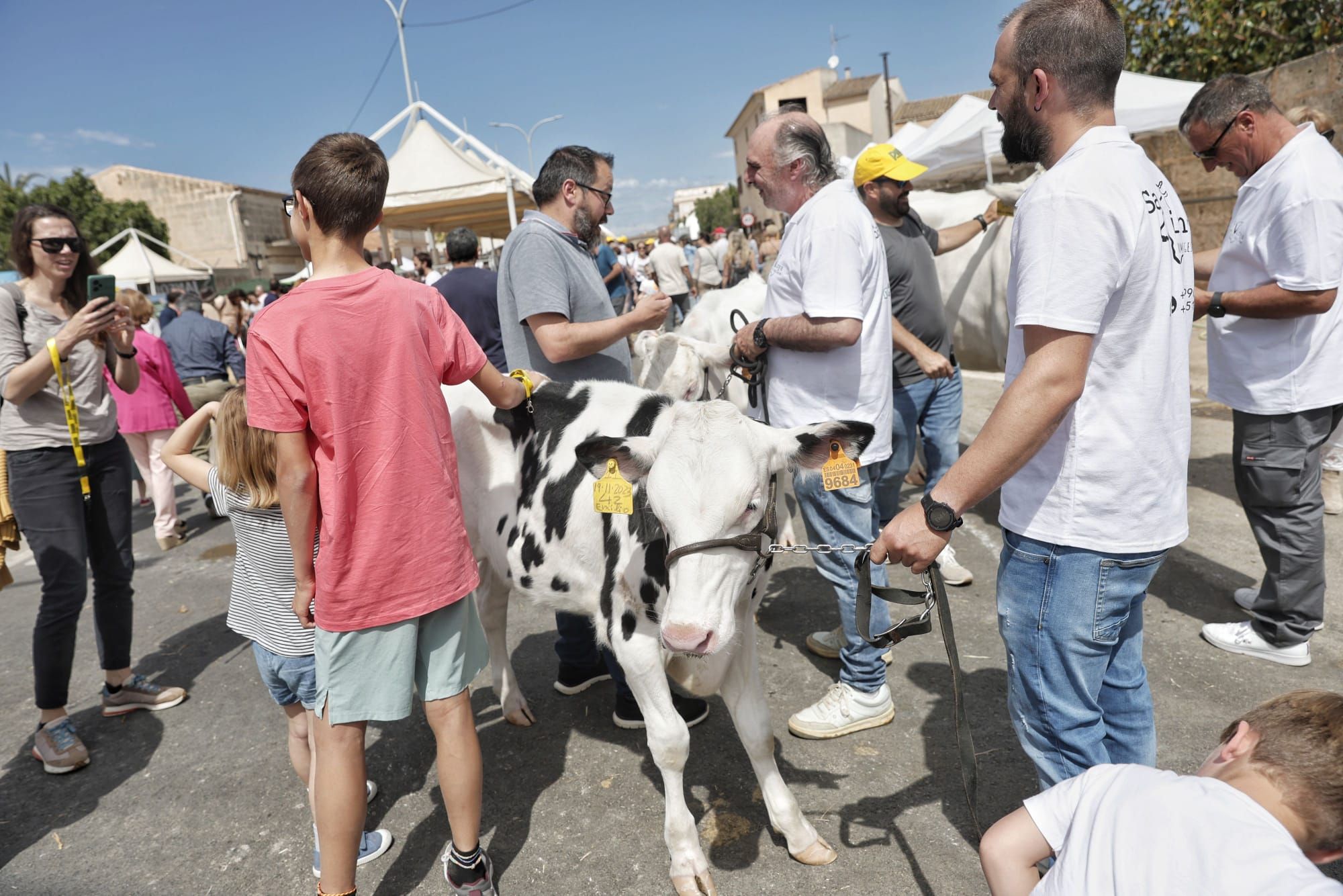 FOTOS | Las ferias de este domingo en distintos pueblos de Mallorca, en imágenes