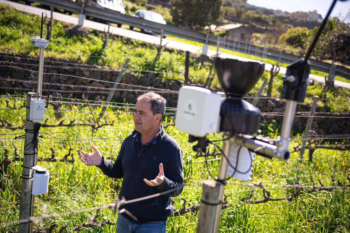 Implementación de la Inteligencia Artificial en la producción de bodegas Viñátigo