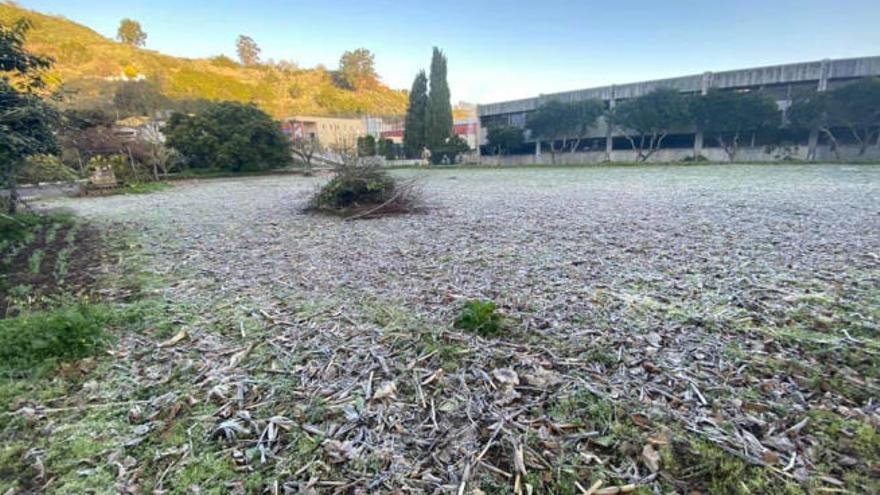 La escarcha tapiza un campo de cultivo, ayer, en el pueblo de Valleseco.