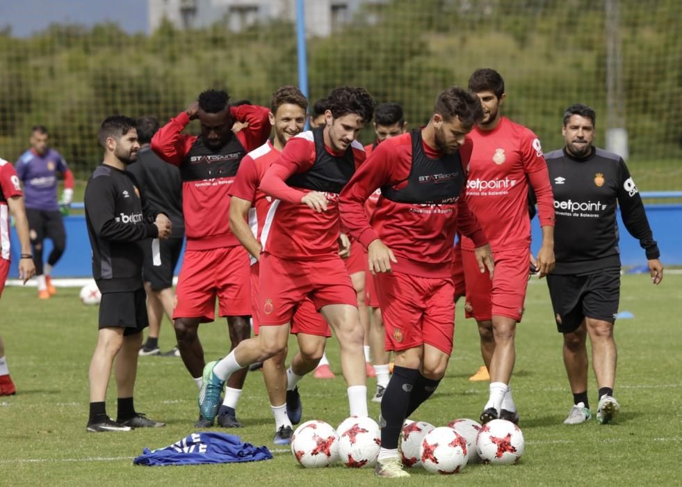 El Real Mallorca entrena en la ciudad deportiva del Alavés