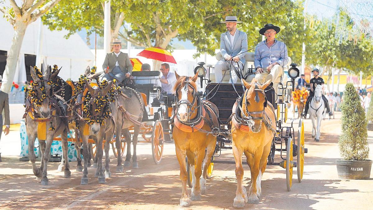 Un carruaje avanza por el paseo habilitado en El Arenal.