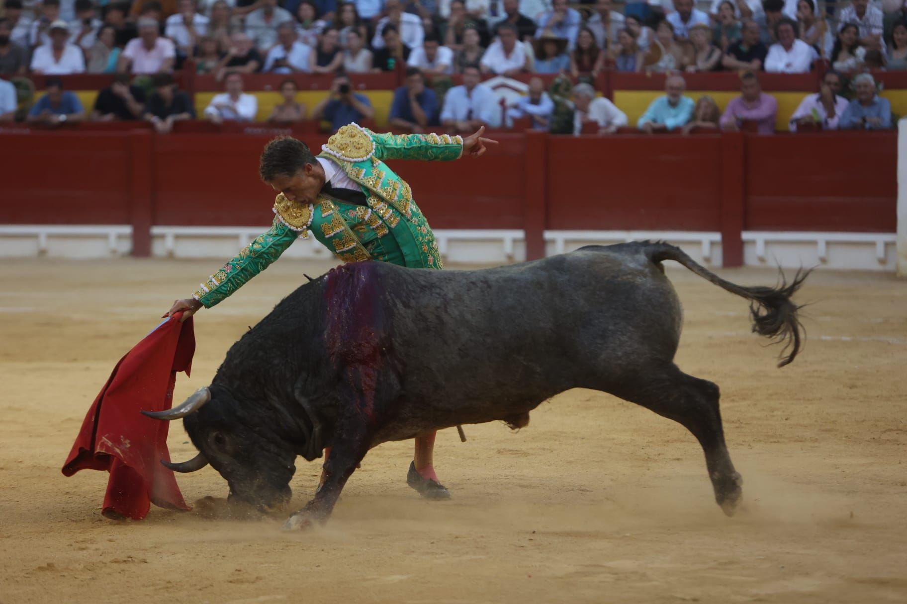 Así ha sido la tarde de Toros de Victorino Martín para Manuel Escribano, en solitario, en Alicante