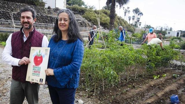 Los huertos urbanos de la Isla se reúnen en la capital