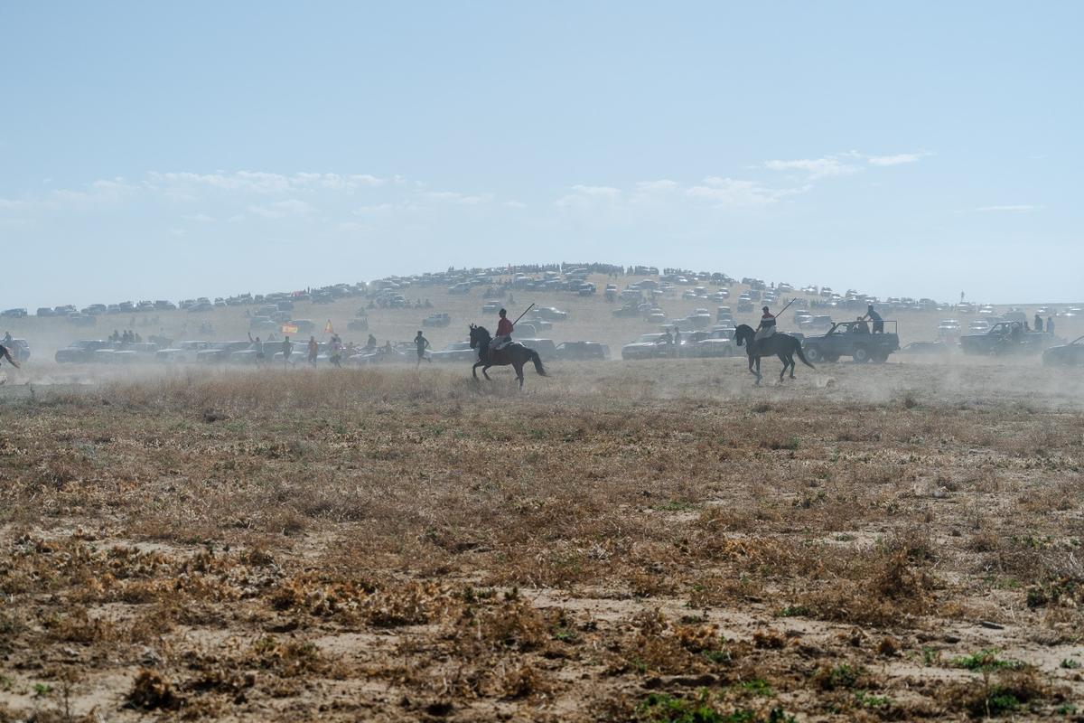 GALERÍA| Multitudinario encierro de campo en Moraleja del Vino GALERÍA| Multitudinario encierro de campo en Moraleja del Vino