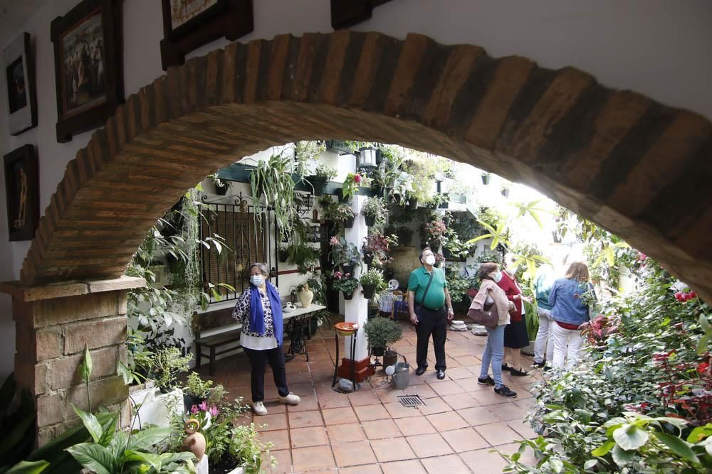 Animado último domingo de Patios