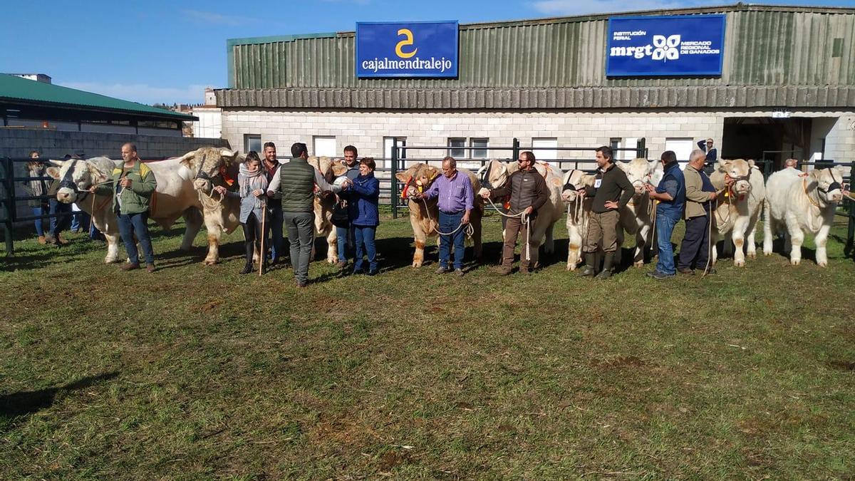 Ganadores del concurso de la raza charolesa celebrado en la última edición de la Agroganadera de Trujillo.