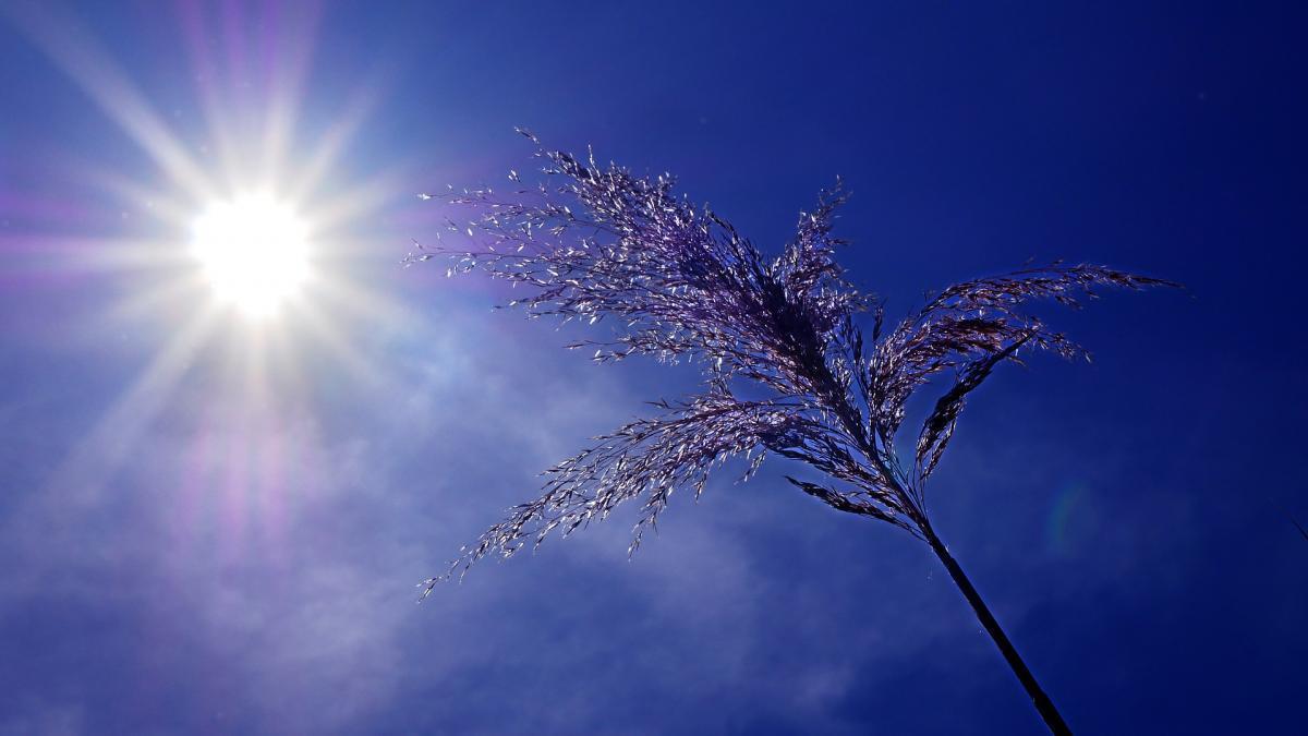 Sanidad inicia el programa para la atención y protección de la salud durante las olas de calor