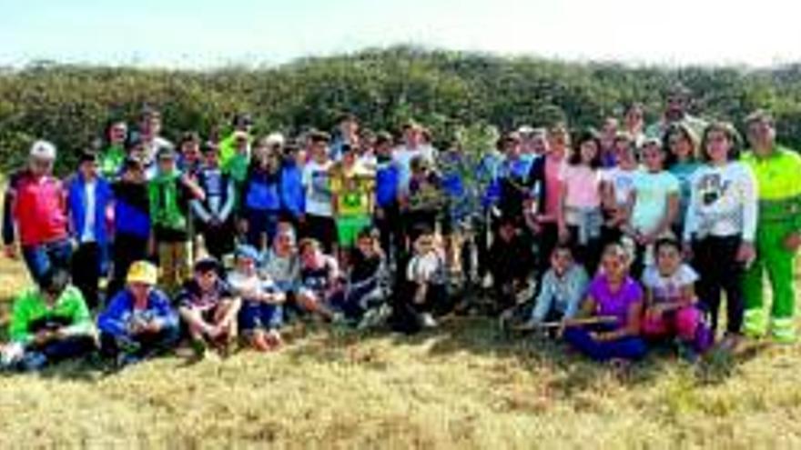 Los escolares plantan 44 árboles en la ermita