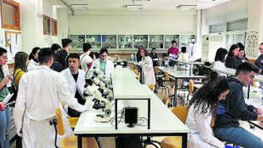 Actividad en los laboratorios del IES María de Molina. | D. P. E.