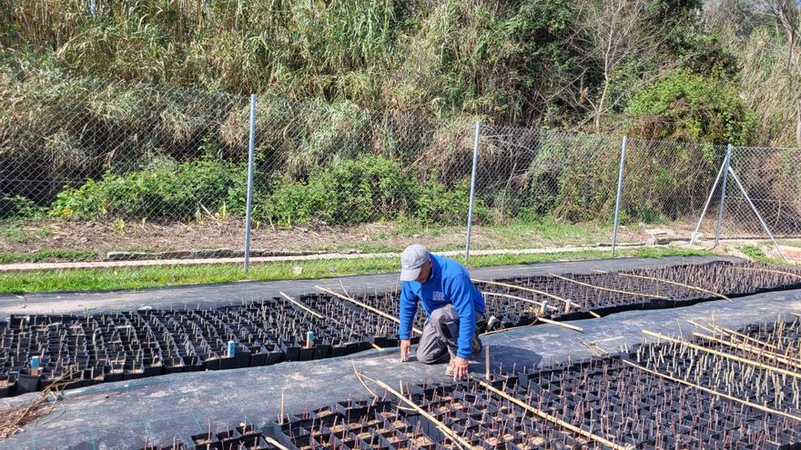 Un proyecto europeo pone en marcha un vivero en Quart de Poblet