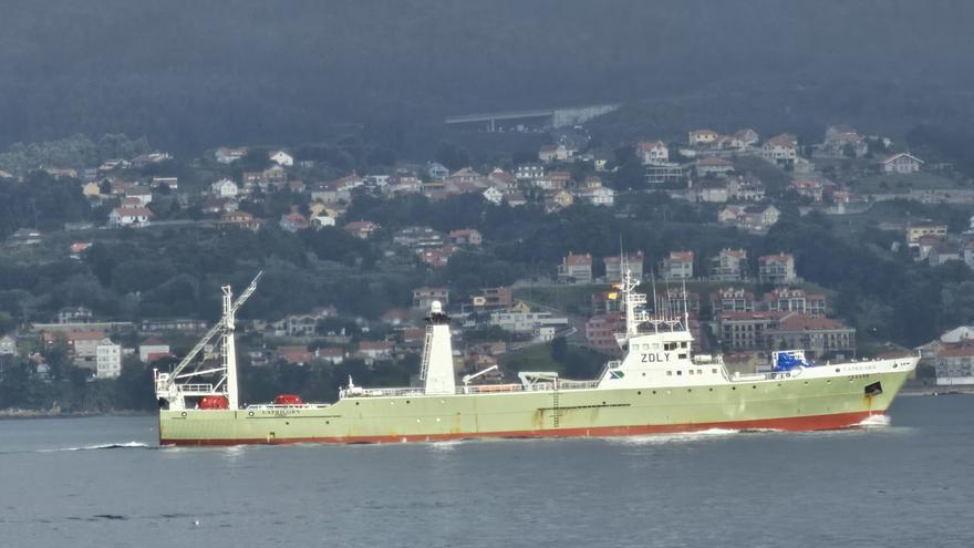 Bruselas apunta a reeditar el inservible cupo de calamar de Malvinas sin arancel