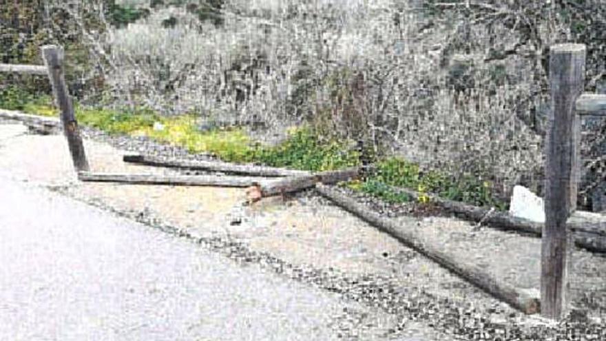 Actos vandálicos en Alfara | LEVANTE-EMV