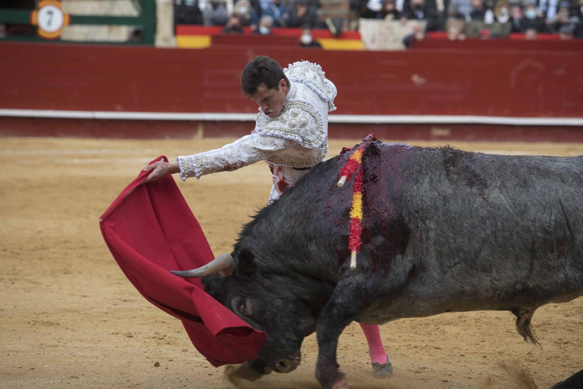 El plomo de Daniel Luque en Fallas