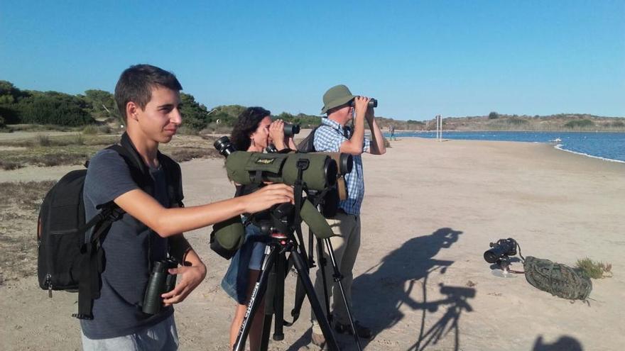 L´Albufera se postula como destino de interés para el turismo ornitológico