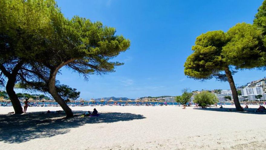 66-jähriger Taucher stirbt im Meer vor Santa Ponça