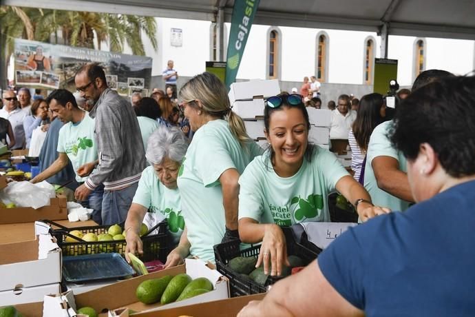 III FERIA DEL AGUACATE